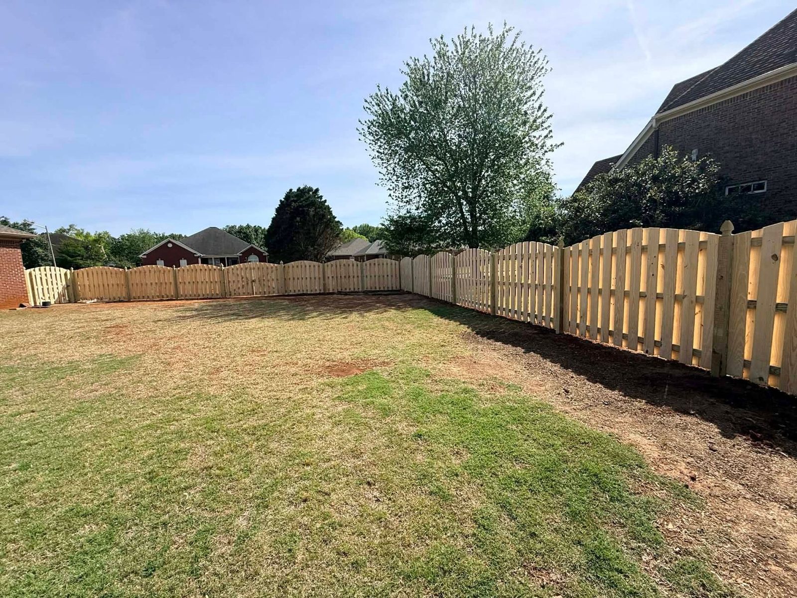 New wood privacy fence line