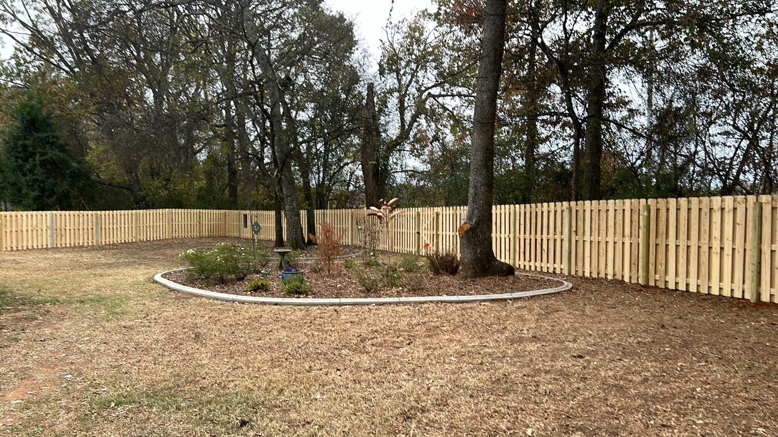 Wood privacy fence around a backyard tree bed