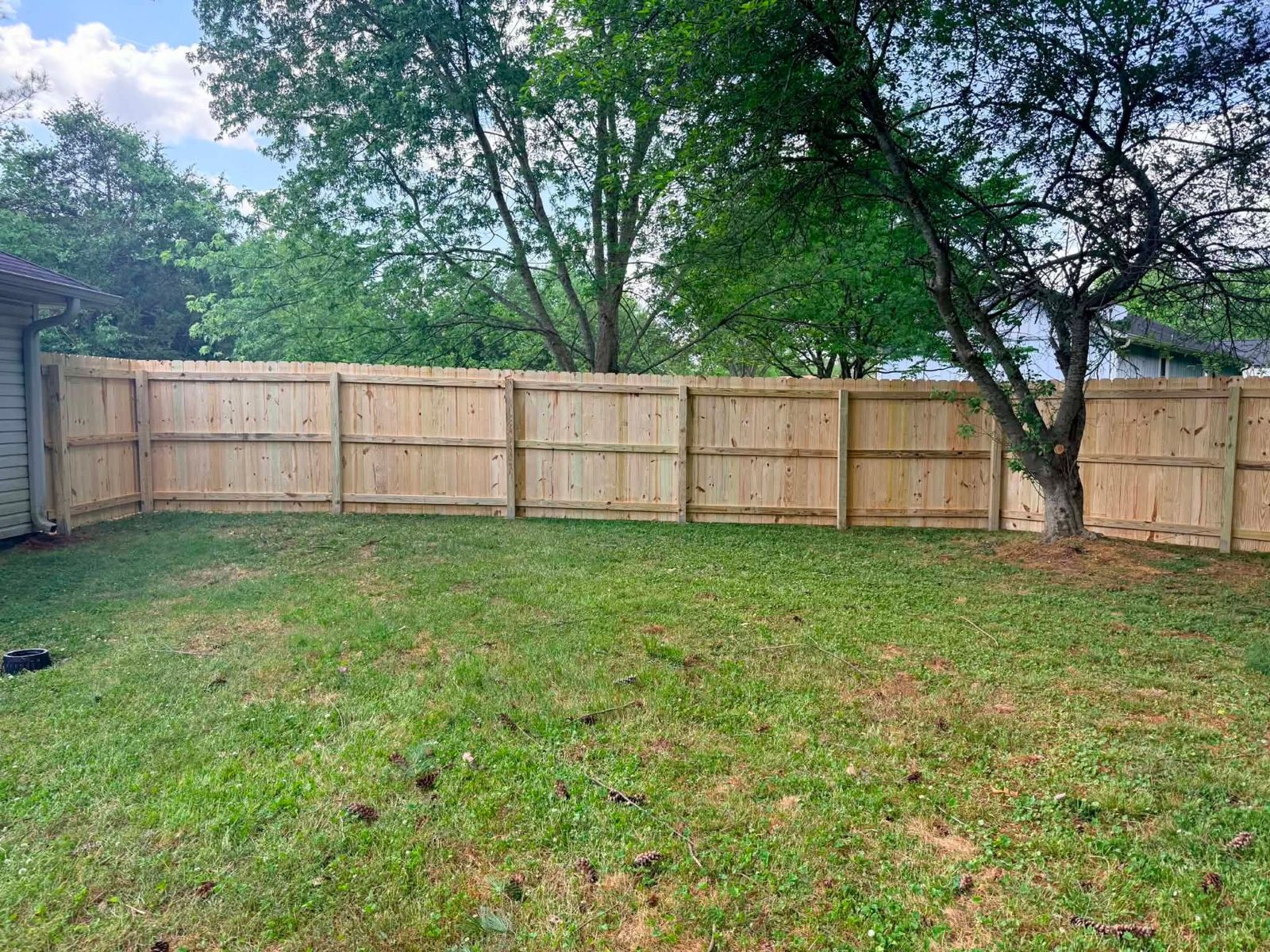 Wood privacy fence in a backyard